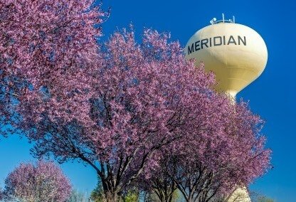 homes for sale meridian township michigan